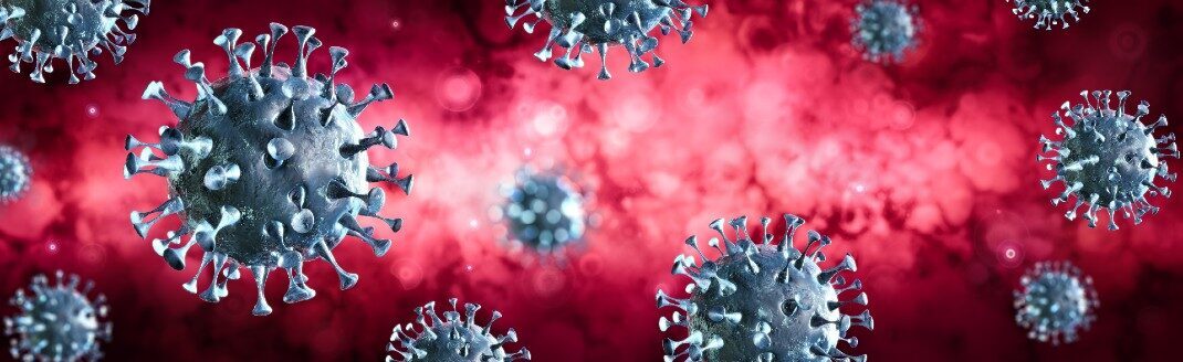Coronavirus update