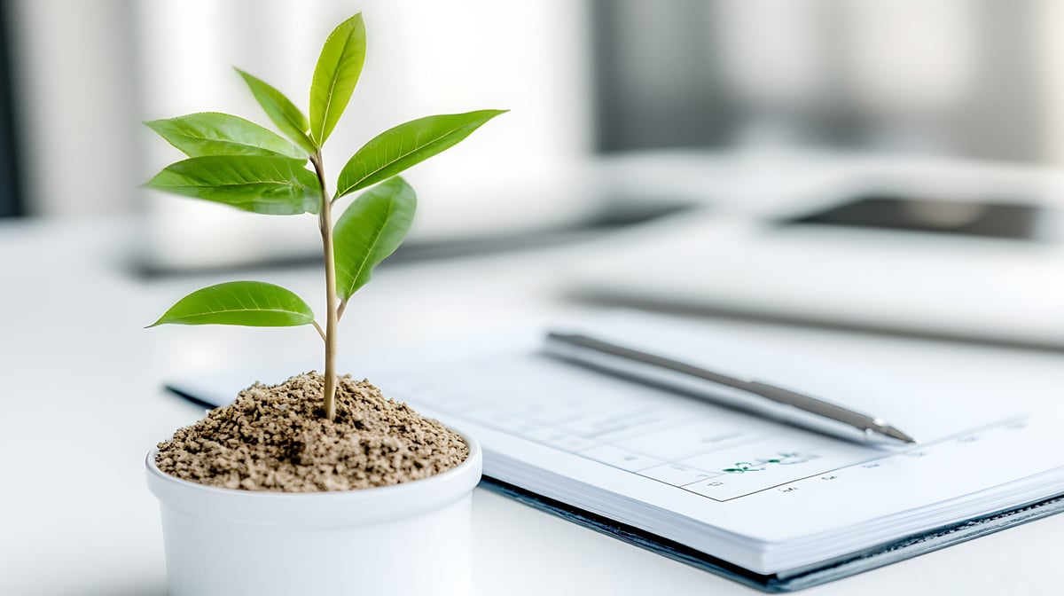 Refocus, Refresh, and Reset Your Financial Life This Spring