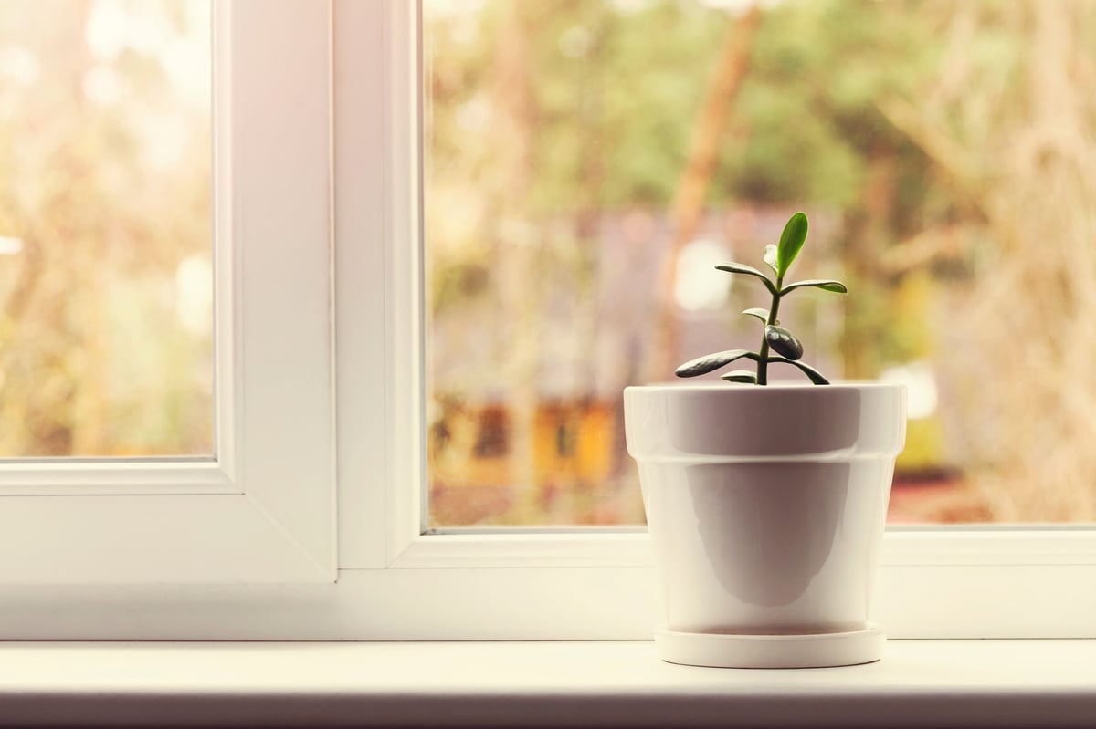 Teaching the Next Generation to Invest: Should Your Teenager Have a Roth IRA?